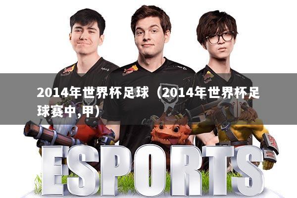 2014年世界杯足球（2014年世界杯足球赛中,甲）