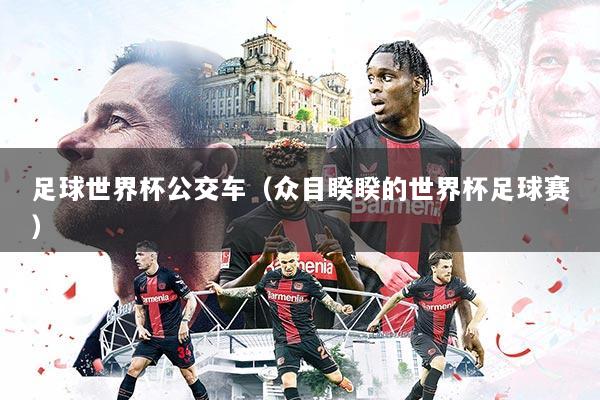 足球世界杯公交车(众目睽睽的世界杯足球赛)