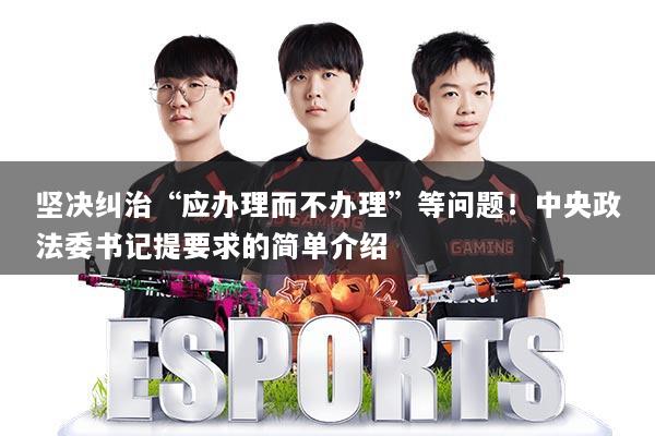 坚决纠治“应办理而不办理”等问题！中央政法委书记提要求的简单介绍