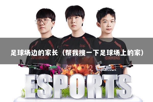 足球场边的家长（帮我搜一下足球场上的家）