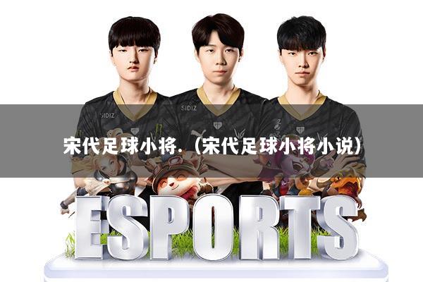 宋代足球小将.(宋代足球小将小说)