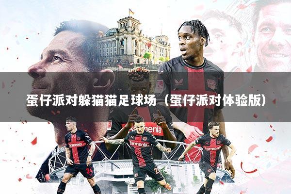 蛋仔派对躲猫猫足球场（蛋仔派对体验版）