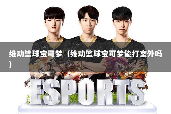 维动篮球宝可梦（维动篮球宝可梦能打室外吗）