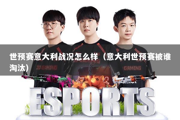 世预赛意大利战况怎么样(意大利世预赛被谁淘汰)